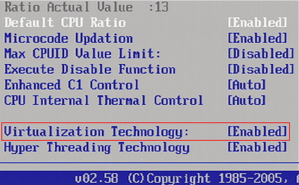 One of the new features Intel adds in 2006 is Virtualization Technology. The Pentium D 900 series and the Pentium Extreme Edition 955 come with VT support.