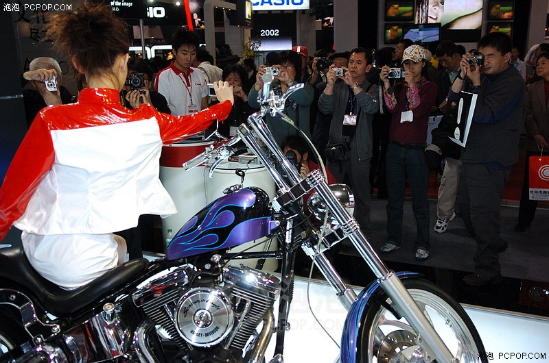 美国超酷哈雷摩托车[图片]