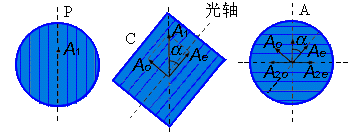 簇膝谈心 说说LCD