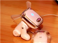 �����Ů���������idog����������
