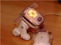 �����Ů���������idog����������