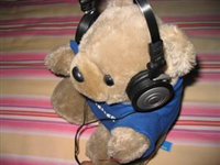 �������ƣ�AKG��ƷKϵ��������������