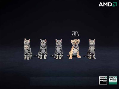 Intel��սAMD!33�Ÿ�����CPU��ֽ��ȫ