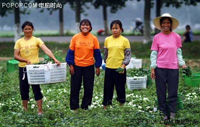 800元买套电脑!披露农民装机四大需求