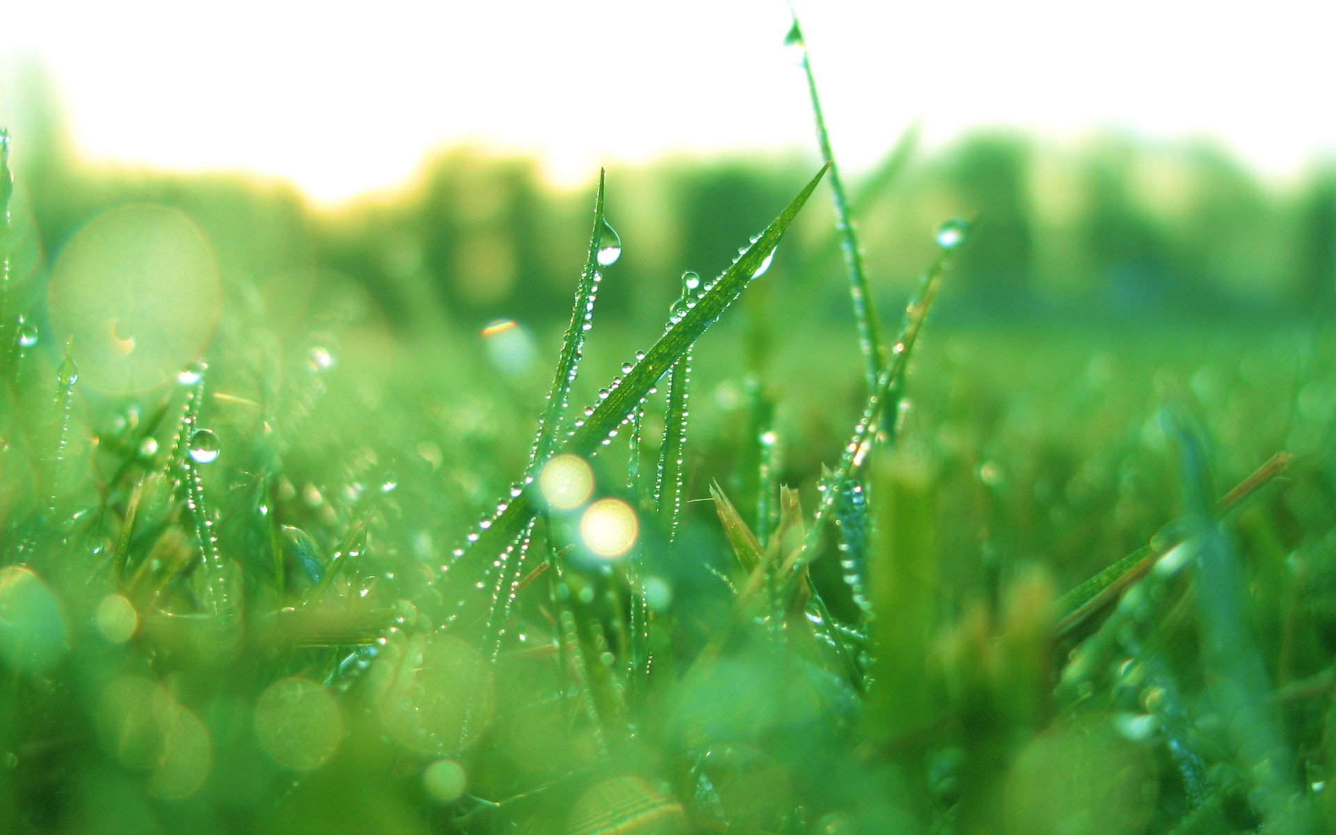 1920×1200:微软vista官方壁纸大放送