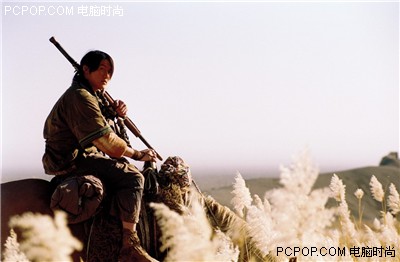 七款奇剑豪气爽!7款主流数码单反导购